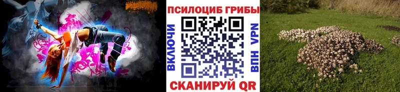 Купить  Абакан  Галлюциногенные грибы Psilocybe 